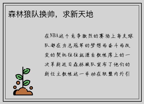 森林狼队换帅，求新天地