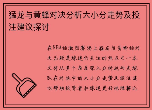 猛龙与黄蜂对决分析大小分走势及投注建议探讨